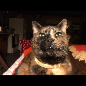 Meet your Posher, Julie